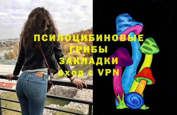 СК Арсеньев