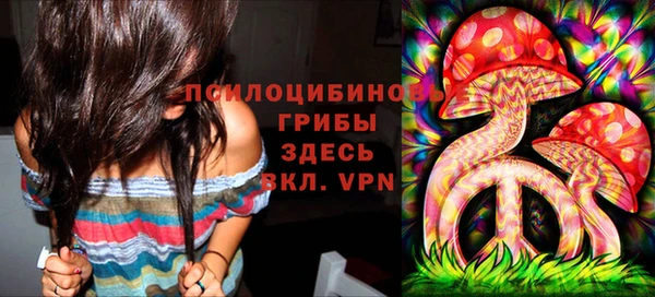 прущая мука Армянск